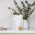 900ml Refill Kitchen Dish Wash - Lemon Myrtle & Honeydew | Al.ive Body | At The Sink | Thirty 16 Williamstown