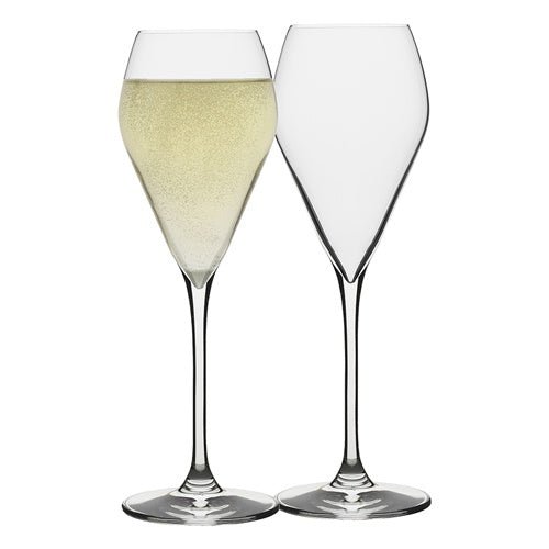 Classic Prosecco Glasses 200ml | Ecology | Glasses &amp; Jugs | Thirty 16 Williamstown