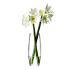 Flower Grand Stem Vase 41cm | LSA | Decorator | Thirty 16 Williamstown