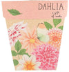 Gift of Seeds Card - Dahlia | Sow &#39;n Sow | Home Garden | Thirty 16 Williamstown