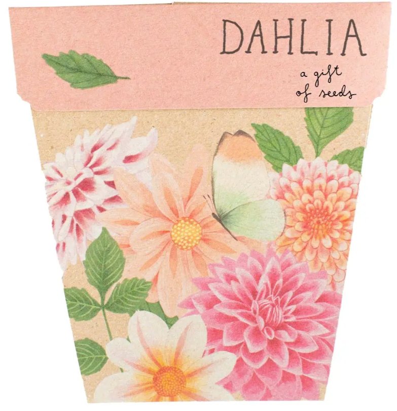 Gift of Seeds Card - Dahlia | Sow 'n Sow | Home Garden | Thirty 16 Williamstown