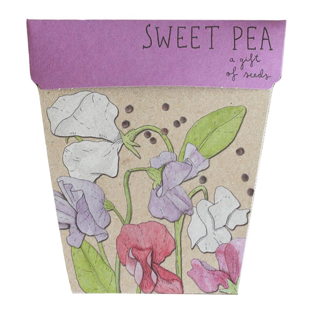 Gift of Seeds Card - Sweet Peas | Sow 'n Sow | Home Garden | Thirty 16 Williamstown