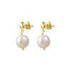 Pearl Drop Earrings (2) - Gold | DPI Jewellery | Jewellery | Thirty 16 Williamstown